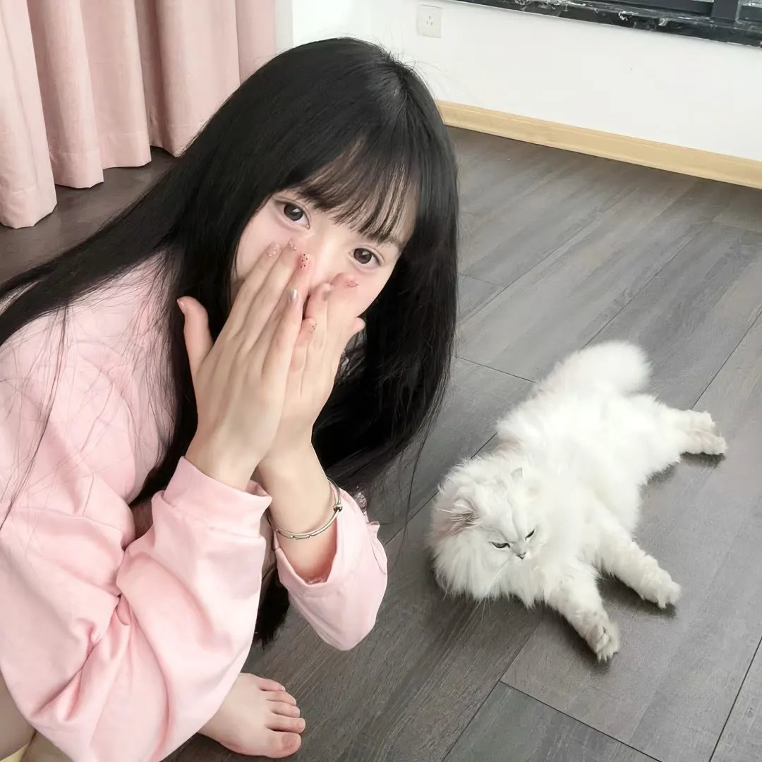 不可思议猫森林
